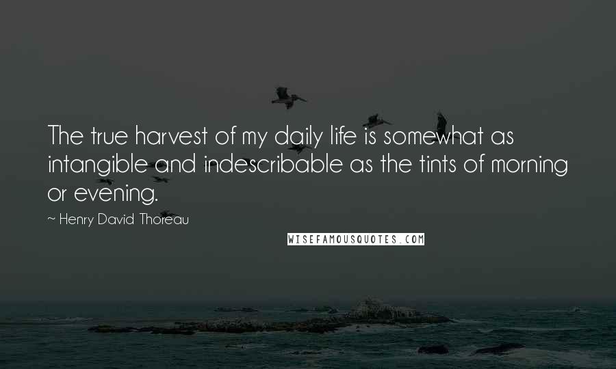 Henry David Thoreau Quotes: The true harvest of my daily life is somewhat as intangible and indescribable as the tints of morning or evening.