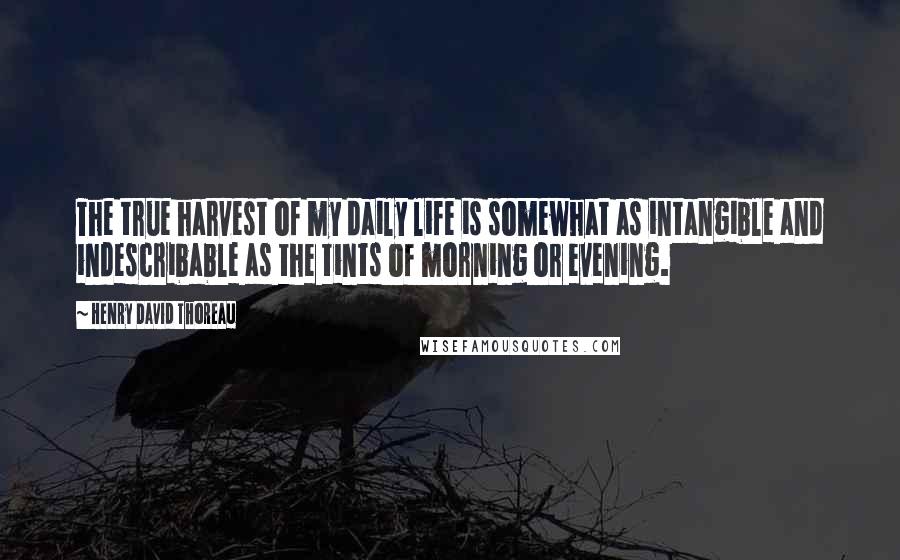 Henry David Thoreau Quotes: The true harvest of my daily life is somewhat as intangible and indescribable as the tints of morning or evening.