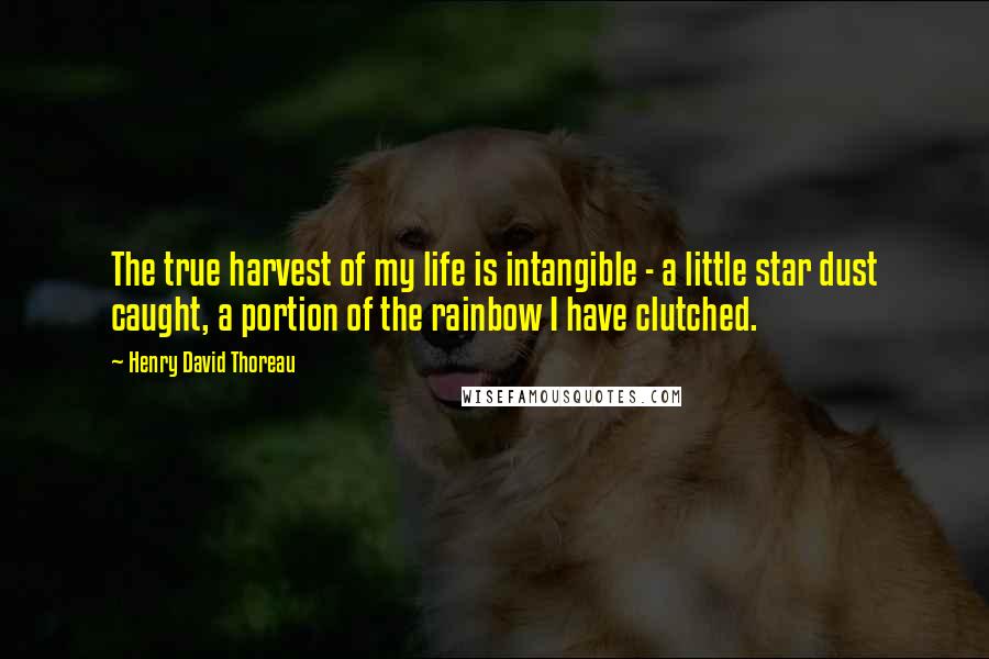Henry David Thoreau Quotes: The true harvest of my life is intangible - a little star dust caught, a portion of the rainbow I have clutched.