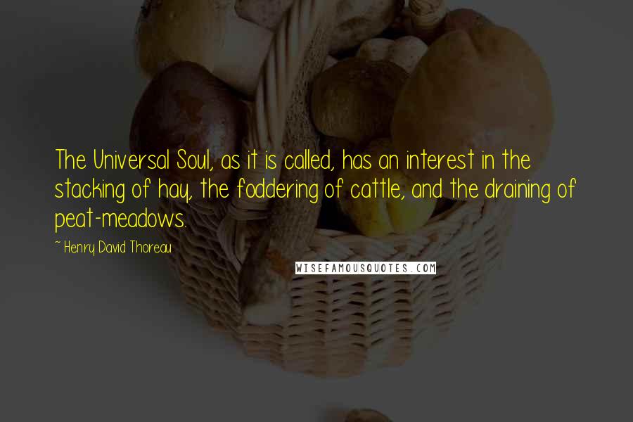 Henry David Thoreau Quotes: The Universal Soul, as it is called, has an interest in the stacking of hay, the foddering of cattle, and the draining of peat-meadows.