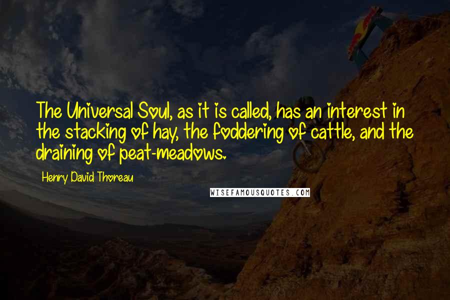 Henry David Thoreau Quotes: The Universal Soul, as it is called, has an interest in the stacking of hay, the foddering of cattle, and the draining of peat-meadows.