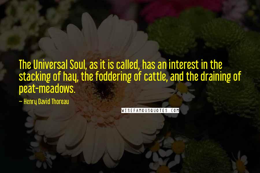 Henry David Thoreau Quotes: The Universal Soul, as it is called, has an interest in the stacking of hay, the foddering of cattle, and the draining of peat-meadows.