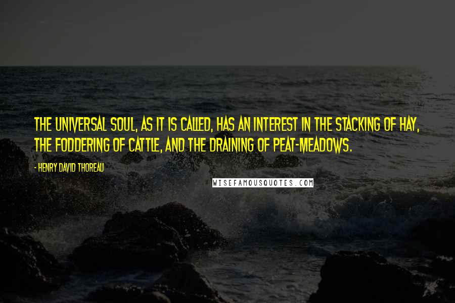 Henry David Thoreau Quotes: The Universal Soul, as it is called, has an interest in the stacking of hay, the foddering of cattle, and the draining of peat-meadows.