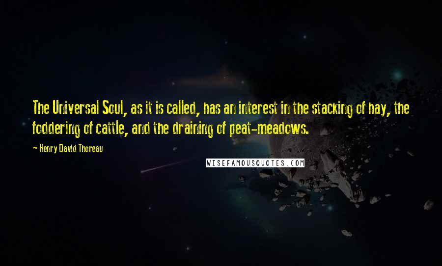 Henry David Thoreau Quotes: The Universal Soul, as it is called, has an interest in the stacking of hay, the foddering of cattle, and the draining of peat-meadows.