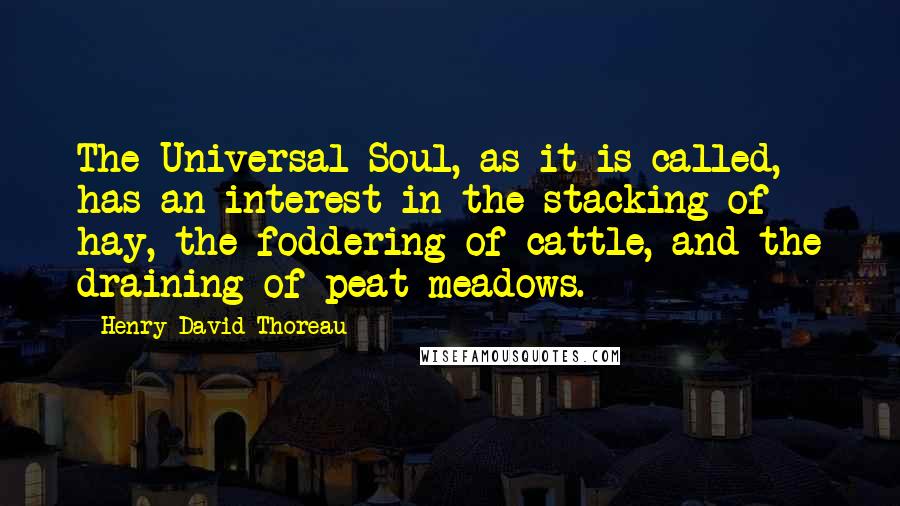 Henry David Thoreau Quotes: The Universal Soul, as it is called, has an interest in the stacking of hay, the foddering of cattle, and the draining of peat-meadows.