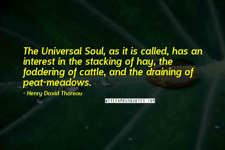 Henry David Thoreau Quotes: The Universal Soul, as it is called, has an interest in the stacking of hay, the foddering of cattle, and the draining of peat-meadows.