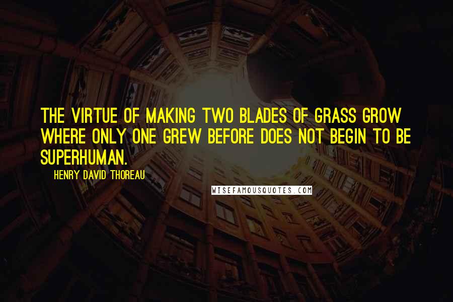 Henry David Thoreau Quotes: The virtue of making two blades of grass grow where only one grew before does not begin to be superhuman.