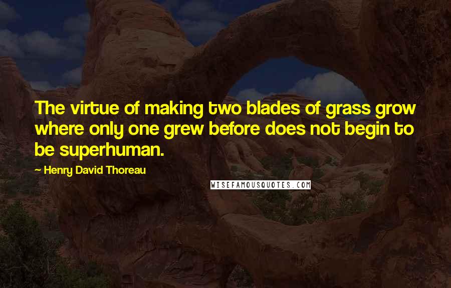 Henry David Thoreau Quotes: The virtue of making two blades of grass grow where only one grew before does not begin to be superhuman.