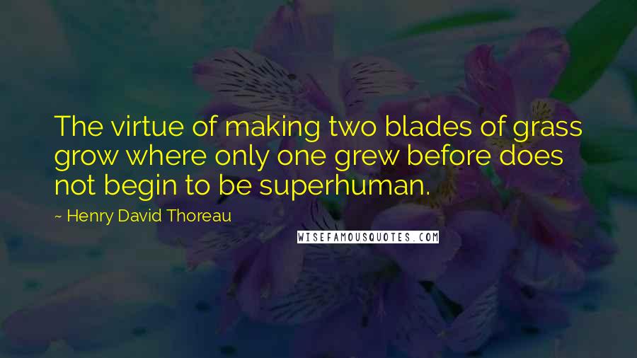 Henry David Thoreau Quotes: The virtue of making two blades of grass grow where only one grew before does not begin to be superhuman.