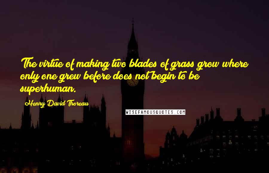 Henry David Thoreau Quotes: The virtue of making two blades of grass grow where only one grew before does not begin to be superhuman.