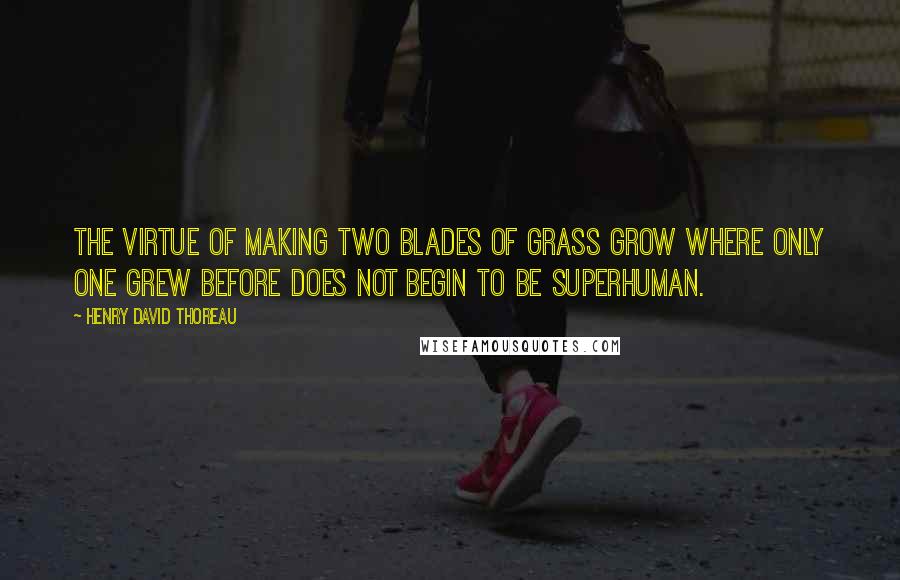 Henry David Thoreau Quotes: The virtue of making two blades of grass grow where only one grew before does not begin to be superhuman.