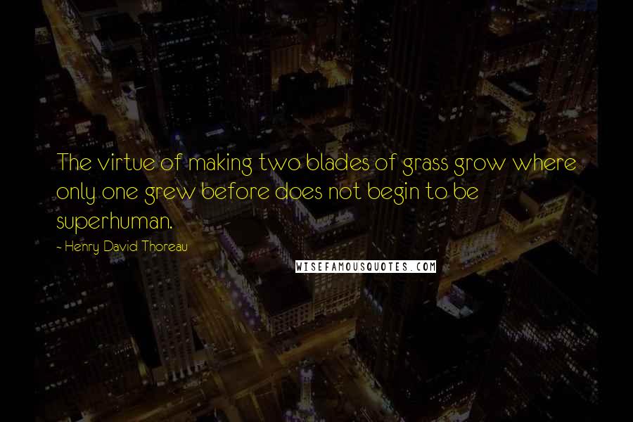 Henry David Thoreau Quotes: The virtue of making two blades of grass grow where only one grew before does not begin to be superhuman.