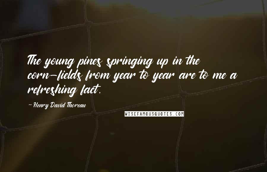 Henry David Thoreau Quotes: The young pines springing up in the corn-fields from year to year are to me a refreshing fact.