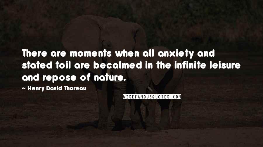 Henry David Thoreau Quotes: There are moments when all anxiety and stated toil are becalmed in the infinite leisure and repose of nature.