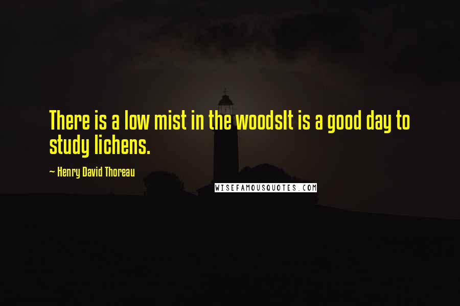Henry David Thoreau Quotes: There is a low mist in the woodsIt is a good day to study lichens.