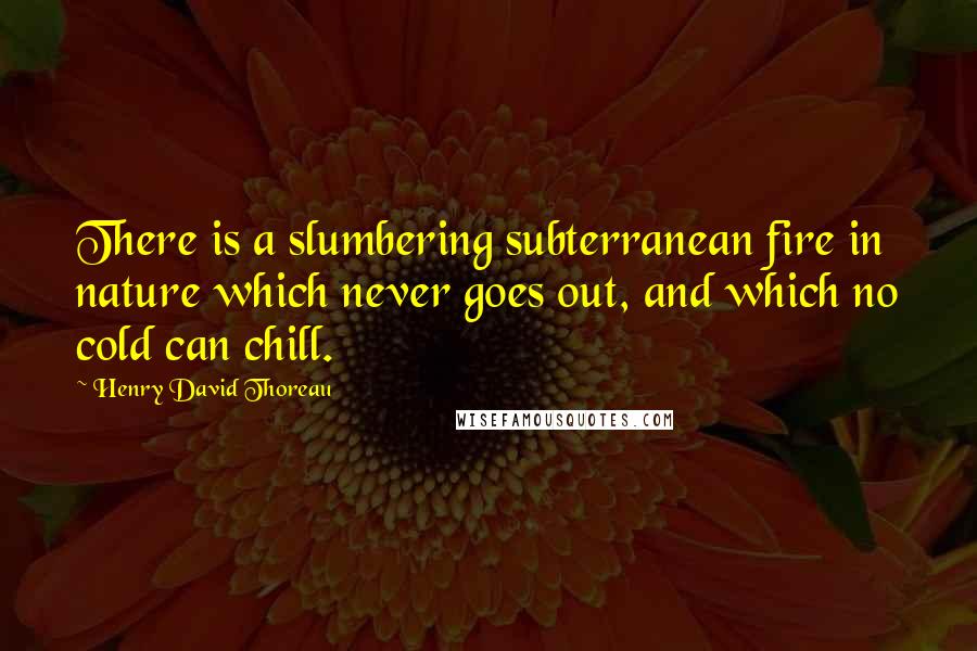 Henry David Thoreau Quotes: There is a slumbering subterranean fire in nature which never goes out, and which no cold can chill.