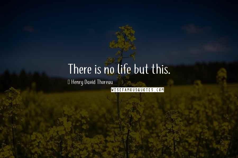 Henry David Thoreau Quotes: There is no life but this.