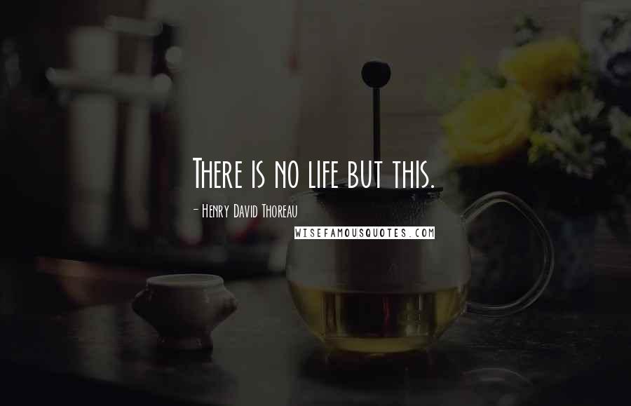 Henry David Thoreau Quotes: There is no life but this.