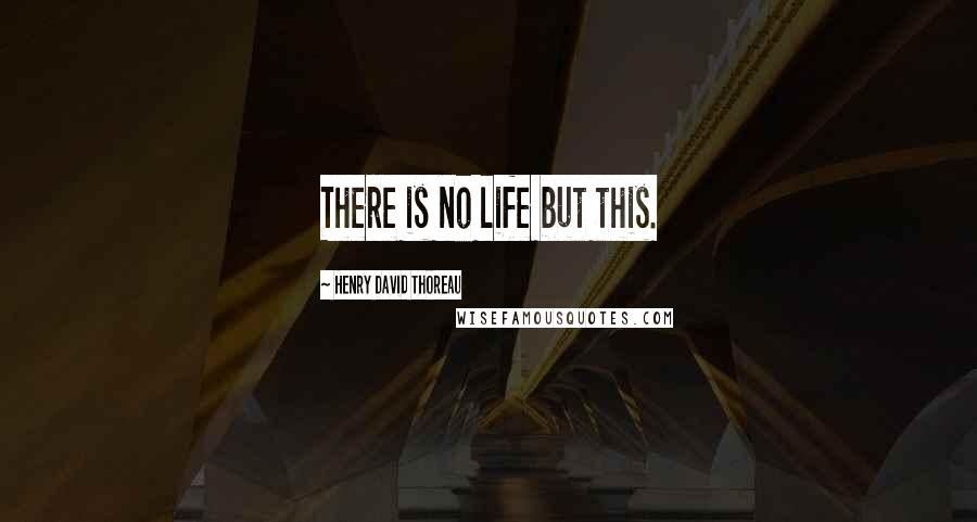Henry David Thoreau Quotes: There is no life but this.