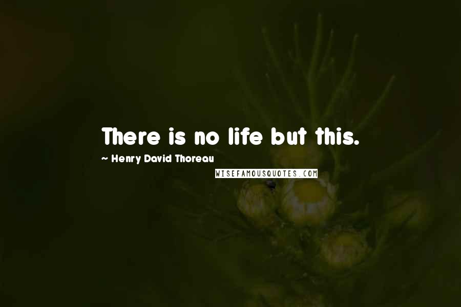 Henry David Thoreau Quotes: There is no life but this.