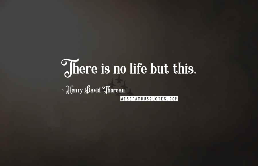Henry David Thoreau Quotes: There is no life but this.