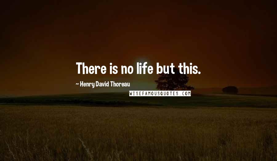 Henry David Thoreau Quotes: There is no life but this.