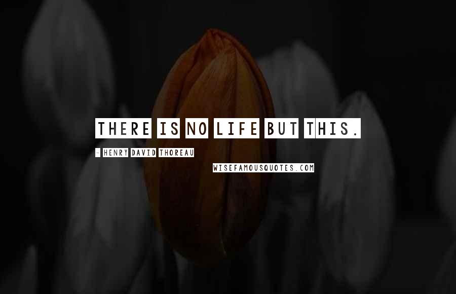 Henry David Thoreau Quotes: There is no life but this.