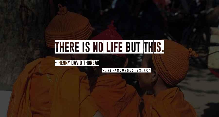 Henry David Thoreau Quotes: There is no life but this.