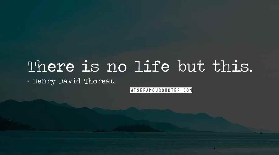 Henry David Thoreau Quotes: There is no life but this.