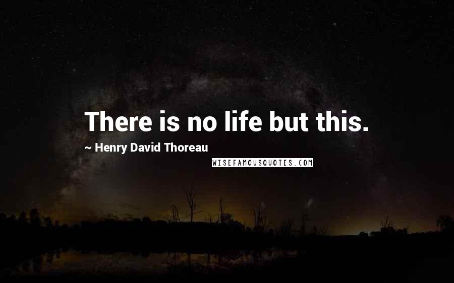 Henry David Thoreau Quotes: There is no life but this.
