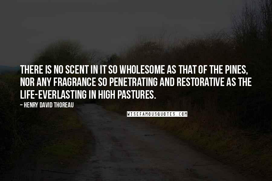 Henry David Thoreau Quotes: There is no scent in it so wholesome as that of the pines, nor any fragrance so penetrating and restorative as the life-everlasting in high pastures.