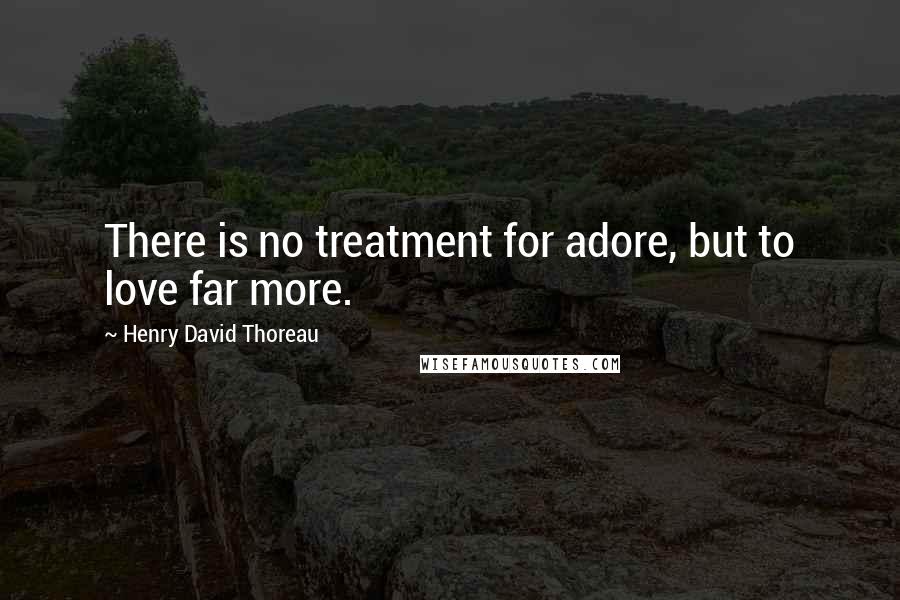Henry David Thoreau Quotes: There is no treatment for adore, but to love far more.