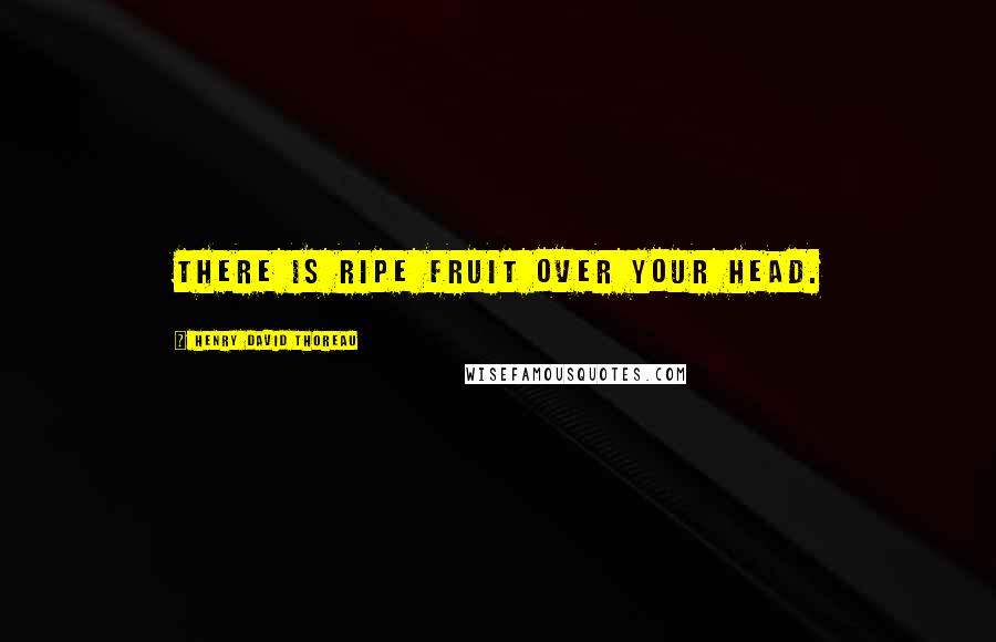 Henry David Thoreau Quotes: There is ripe fruit over your head.