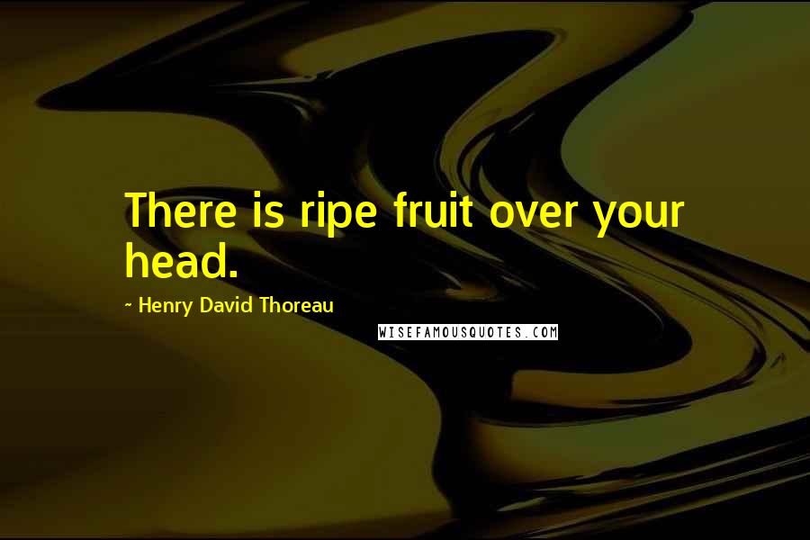 Henry David Thoreau Quotes: There is ripe fruit over your head.