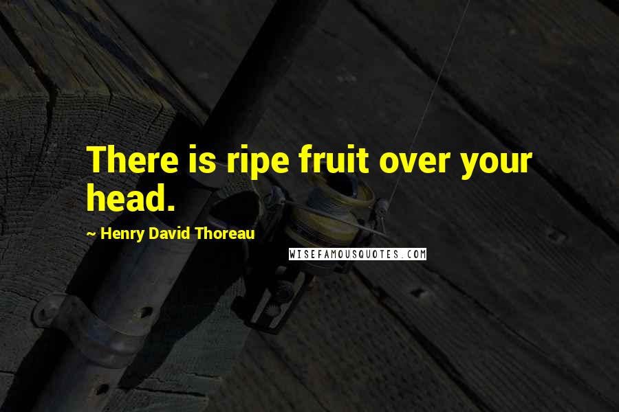 Henry David Thoreau Quotes: There is ripe fruit over your head.