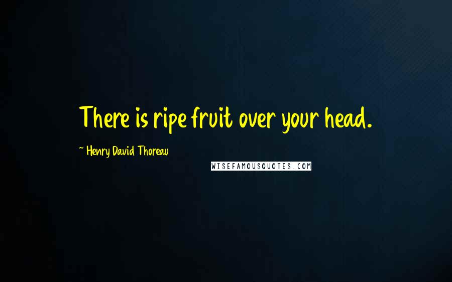 Henry David Thoreau Quotes: There is ripe fruit over your head.