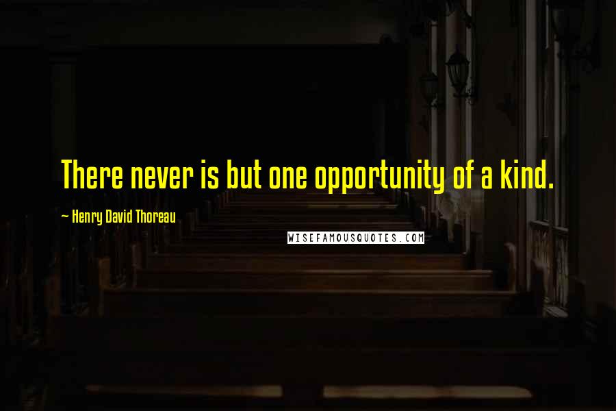 Henry David Thoreau Quotes: There never is but one opportunity of a kind.