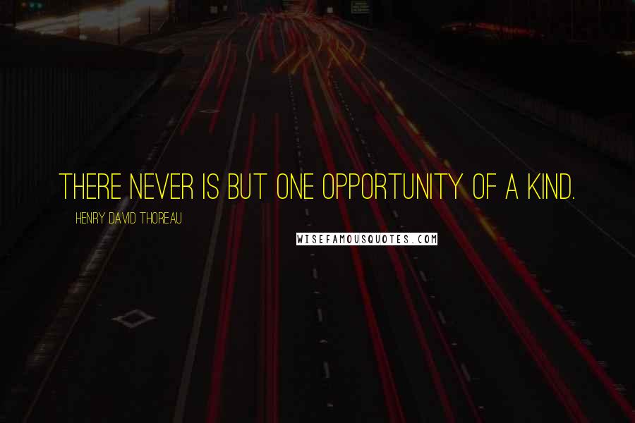 Henry David Thoreau Quotes: There never is but one opportunity of a kind.