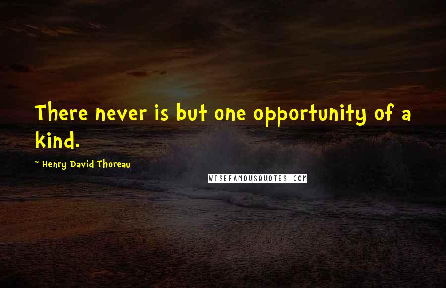 Henry David Thoreau Quotes: There never is but one opportunity of a kind.