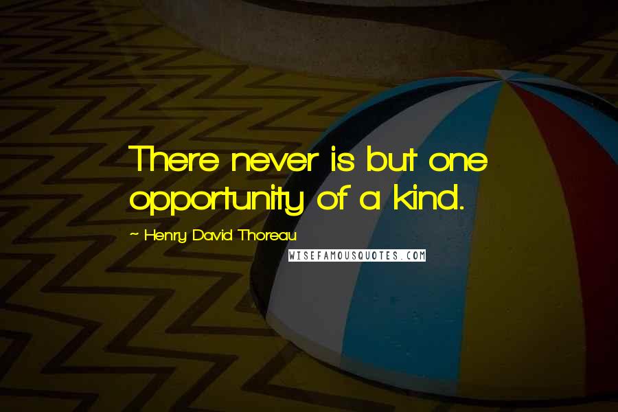 Henry David Thoreau Quotes: There never is but one opportunity of a kind.