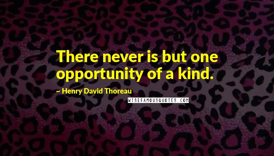 Henry David Thoreau Quotes: There never is but one opportunity of a kind.