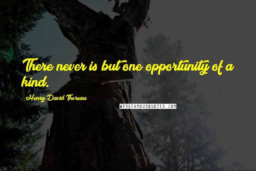 Henry David Thoreau Quotes: There never is but one opportunity of a kind.