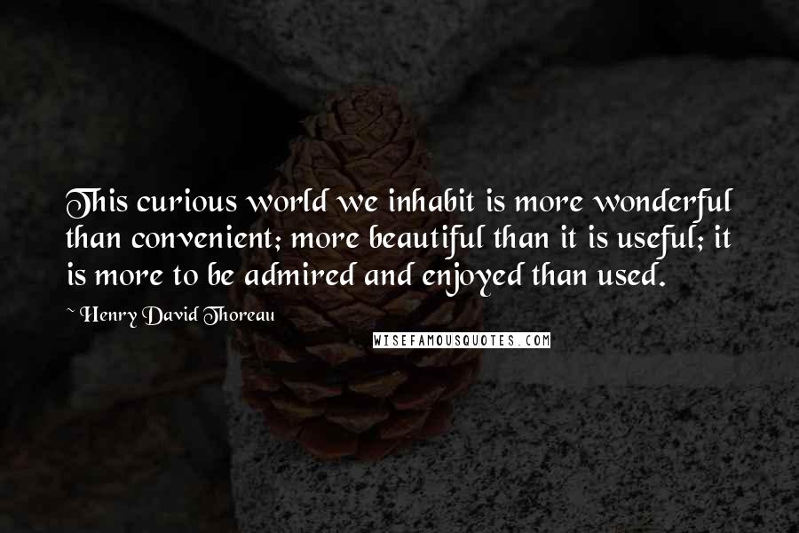 Henry David Thoreau Quotes: This curious world we inhabit is more wonderful than convenient; more beautiful than it is useful; it is more to be admired and enjoyed than used.