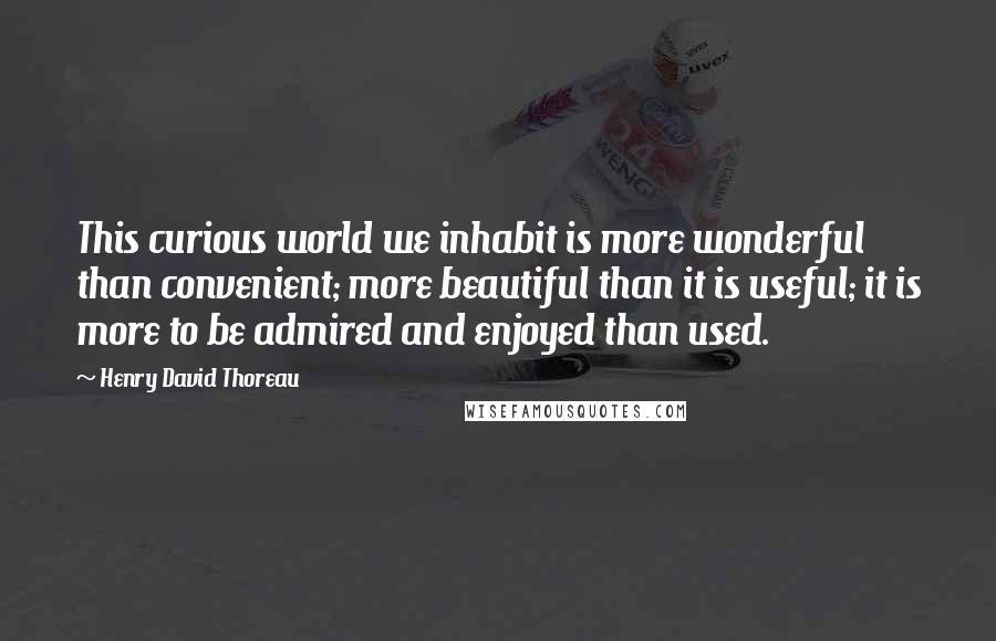 Henry David Thoreau Quotes: This curious world we inhabit is more wonderful than convenient; more beautiful than it is useful; it is more to be admired and enjoyed than used.