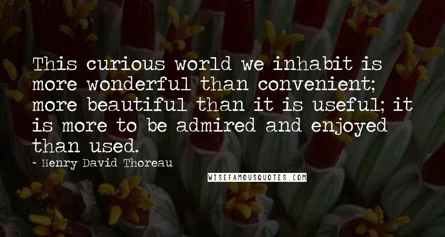 Henry David Thoreau Quotes: This curious world we inhabit is more wonderful than convenient; more beautiful than it is useful; it is more to be admired and enjoyed than used.