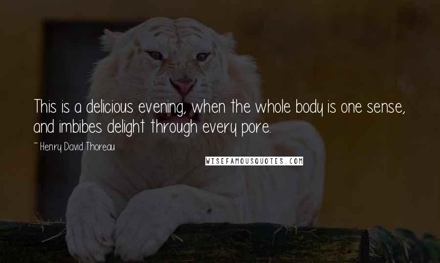 Henry David Thoreau Quotes: This is a delicious evening, when the whole body is one sense, and imbibes delight through every pore.