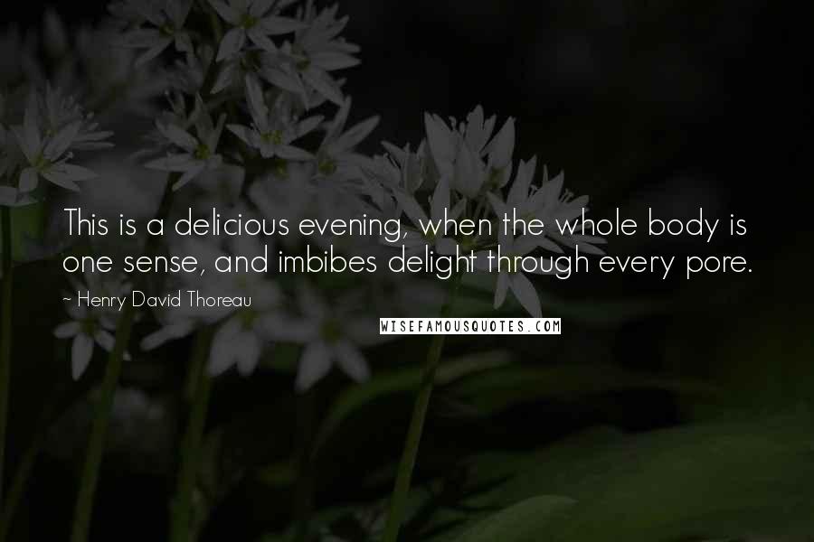 Henry David Thoreau Quotes: This is a delicious evening, when the whole body is one sense, and imbibes delight through every pore.