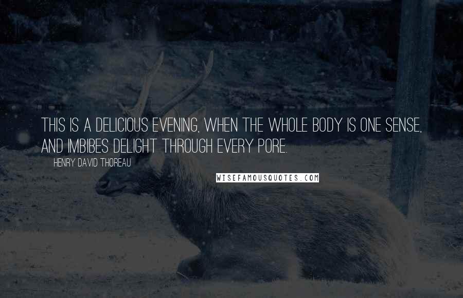 Henry David Thoreau Quotes: This is a delicious evening, when the whole body is one sense, and imbibes delight through every pore.