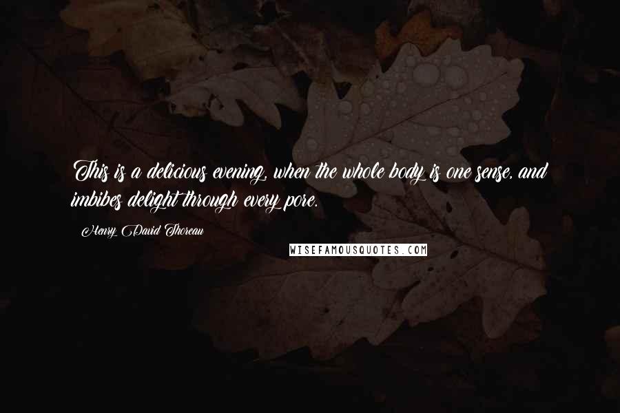 Henry David Thoreau Quotes: This is a delicious evening, when the whole body is one sense, and imbibes delight through every pore.