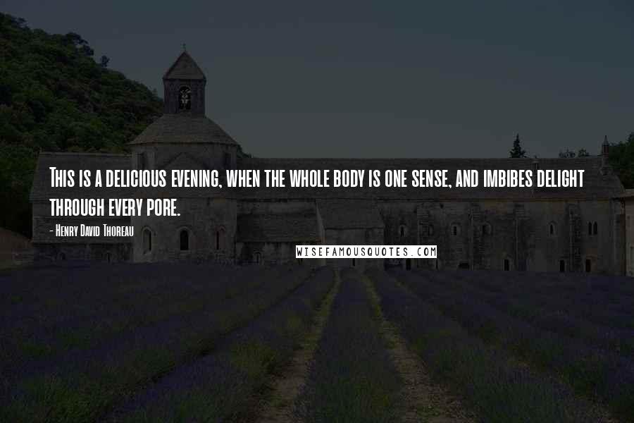 Henry David Thoreau Quotes: This is a delicious evening, when the whole body is one sense, and imbibes delight through every pore.